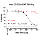 Kras (G12D)/cRAF/CYPA/Inhibitor Assay Kit